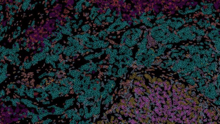 <p>Designed user-friendly workflows that make microscope interaction intuitive and approachable in the complex field of spatial biology.</p>